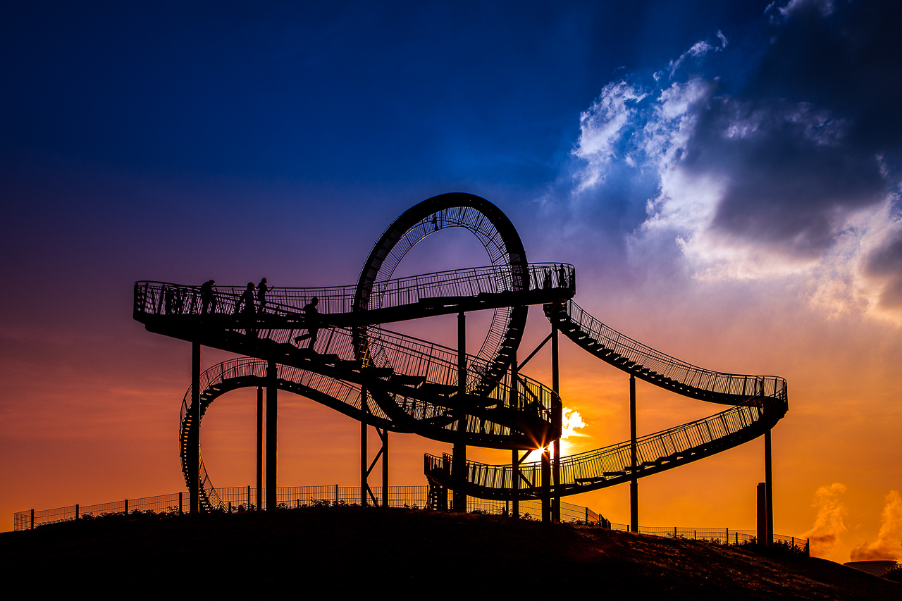 Tiger & Turtle